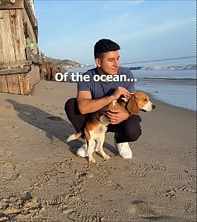 Watch This Two-Legged Beagle’s First Trip to the Beach—His Reaction Will Melt Your Heart