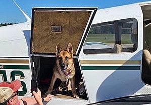 Leola up for Adoption