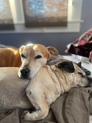 Sue and Bigalow