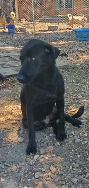 Sam