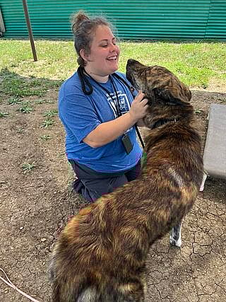 Franklin up for Adoption