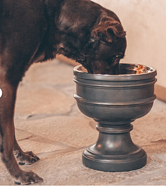 No-Spill Dog Water Bowls