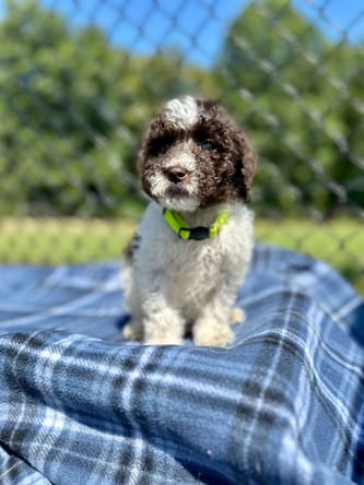 Benny Aug 24
