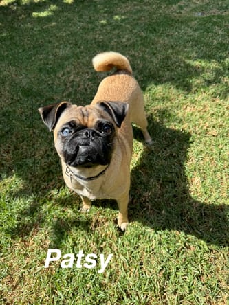 Patsy Party Girl