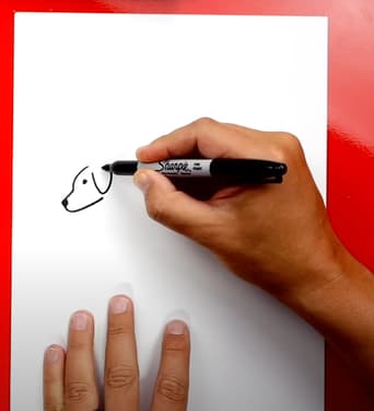 How to Draw A Golden Retriever