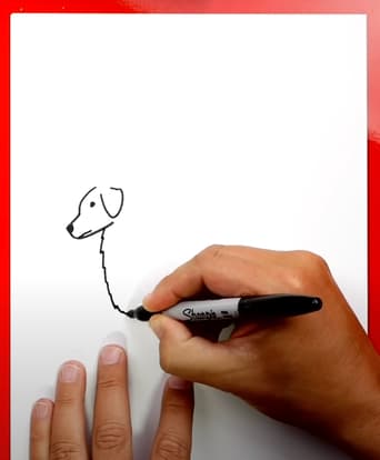 How to Draw A Golden Retriever