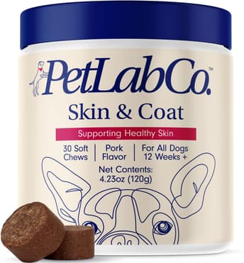 Best Dog Supplements for Skin & Coat Available on Amazon - PetLab Co. Skin & Coat Chews
