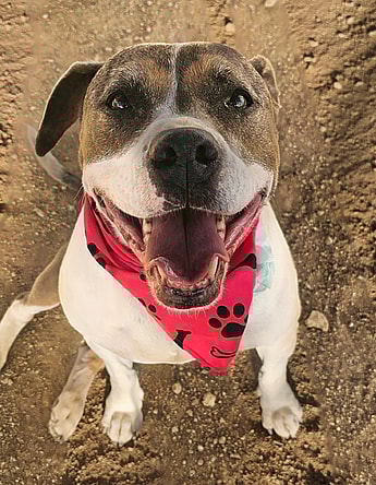 Sally waiting over 820 Days