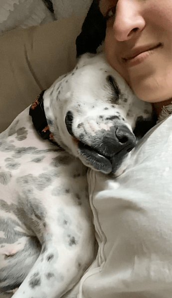 Valentine nuzzle her head on her mom