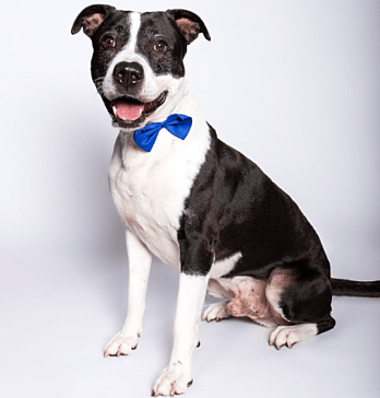 Jacob — Waiting 1,395 Days