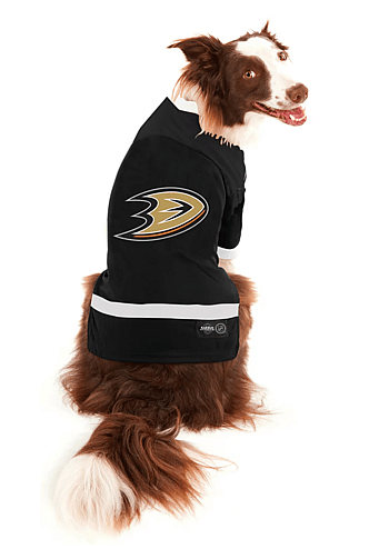hockey dog name