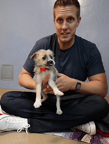 Puppy Returned to Shelter for Being "Too Evil"