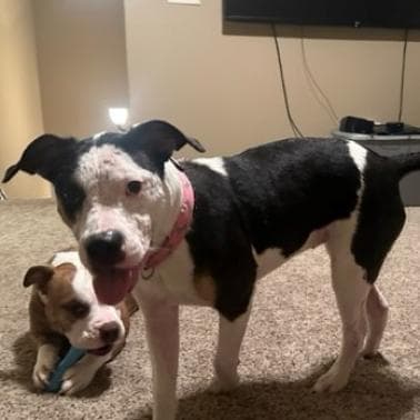 Maggie
