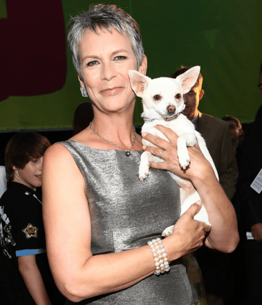 Jamie Lee Curtis and her chi - National Chihuahua Day