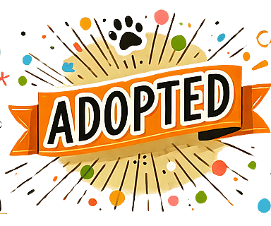 pet adopted