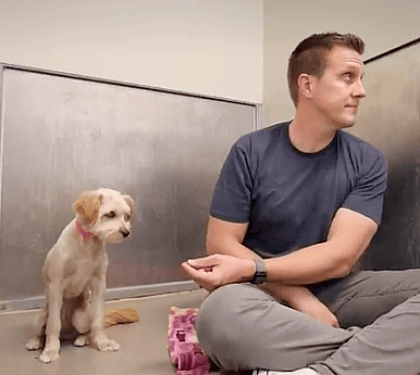 Rocky avoids eye contact with fearful dog