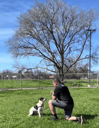 Jane, Dog up for adoption