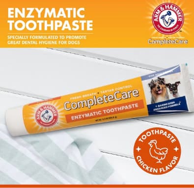 that compounds in your toothpaste like fluoride could be extremely toxic to your pup if swallowed,