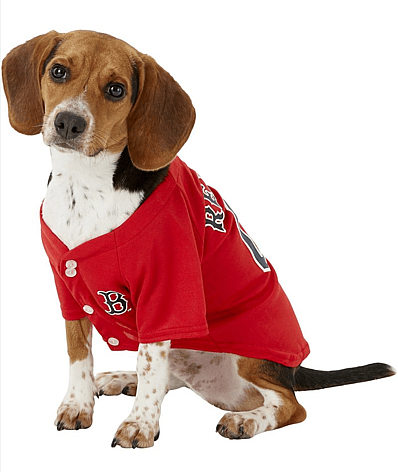 baseball dog names: Red Sox
