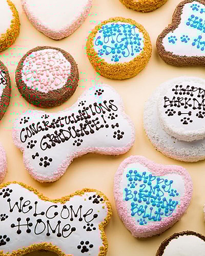 Too Cute to Handle! French Bulldog Celebrates 2nd Birthday in Style at The Dog Bakery