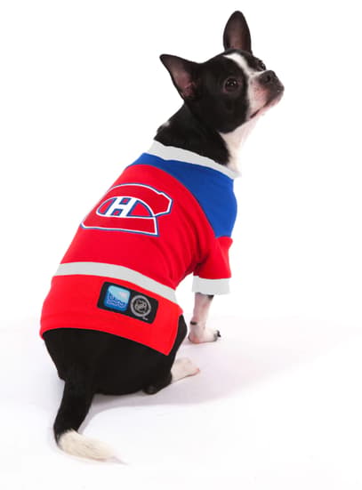 hockey dog names