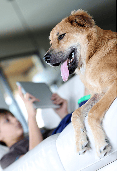 Video Game Dog Names