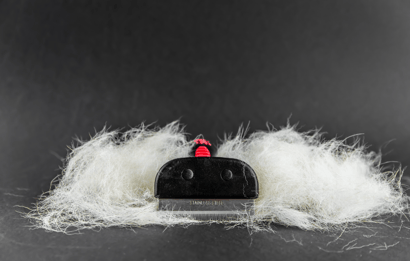 brushing your dog's coat