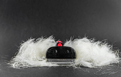 brushing your dog's coat