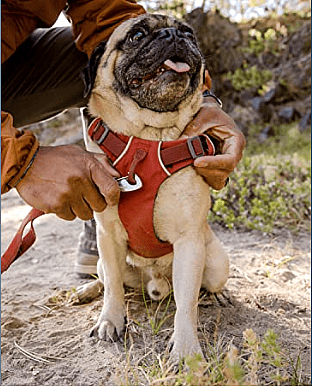 RUFFWEAR Front Range Harness