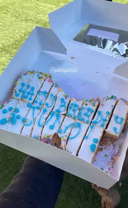 Senior Dog's EPIC Birthday Cake Bash!