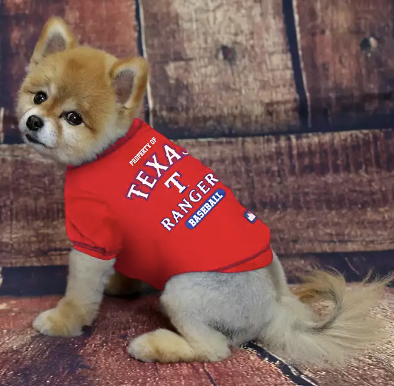 baseball dog names: texas rangers