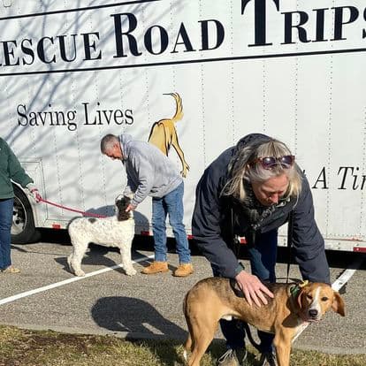 Animal Transporters
