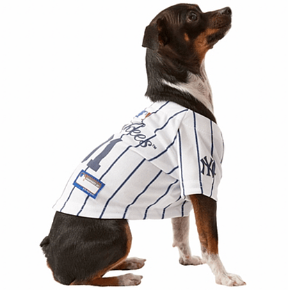 Baseball dog names: NY yankees