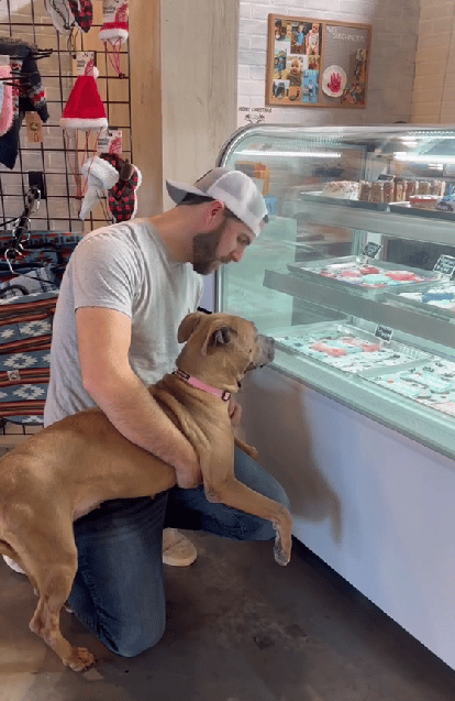 Dog Dad Pulls Out All The Stops To Give Shelter Pup Her Best Day Ever In Hopes Of Finding Her a “Furever Family”