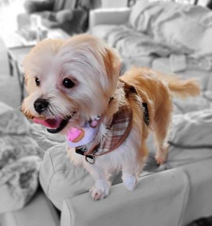 Betty B