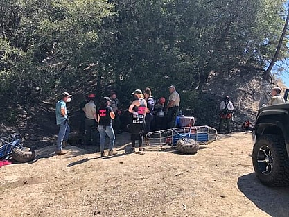 Rescue team to save Cane Corsos abandoned in mountain