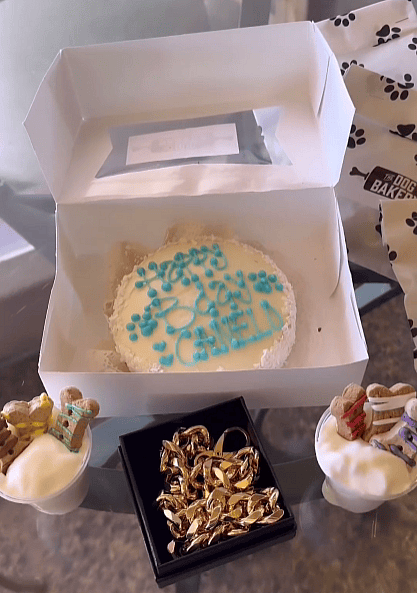 Pawty Animal: Shelter Pup's Epic Birthday Celebration is Pure Joy!