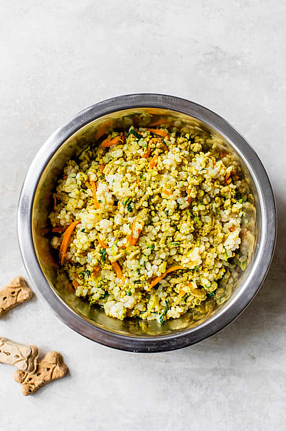 Allergy-Friendly Homemade Dog Food Recipes