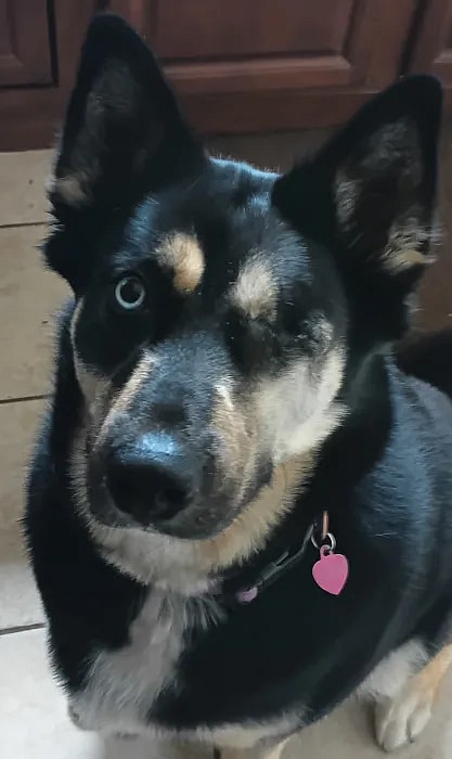 Third Place: Harlie CoCoa Beans Nutile