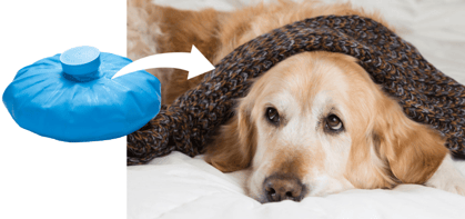 Cold compress for mange treatment