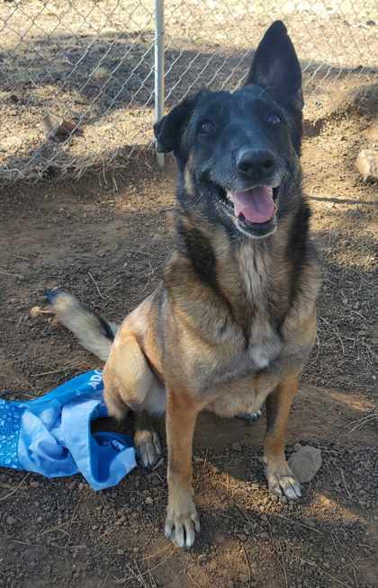 Kendra up for Adoption