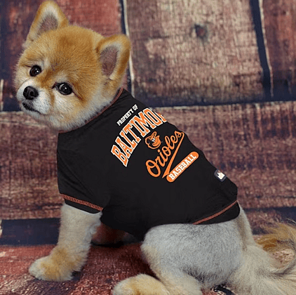 baseball dog names: Baltimore