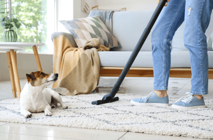 vacuuming