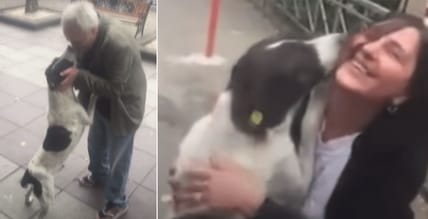 Jorge : Family Reunited with Dog After 3 Years