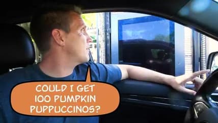 Making 100 Pumpkin Puppuccinos for Homeless Dogs