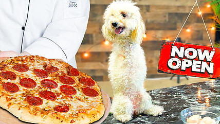 man opens restaurant for dogs