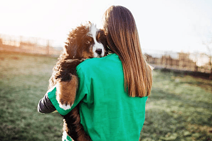 Rehoming a dog