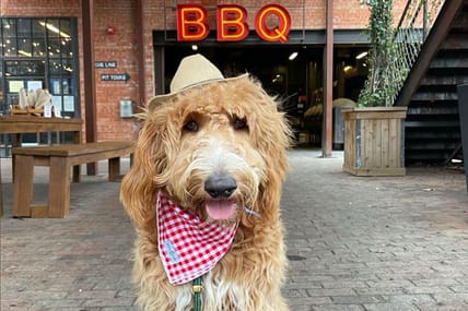 Dog Friendly restaurant in Texas