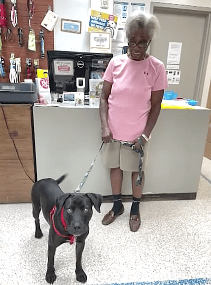 84-Year-Old Missing Woman adopting a dog