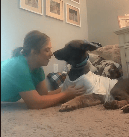 Happy Tears as Severely Abused German Shepherd Experiences Love for the First Time